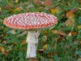 /album/fotogalerie/p1120186-jpg/