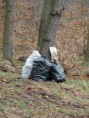 /album/brigada-den-zeme1/dsc05568-jpg/