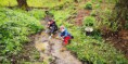 /album/fotogalerie-k-olesaku-jsme-vysadili-100-rostlin-a-2-stromy/uvod-jpg1/